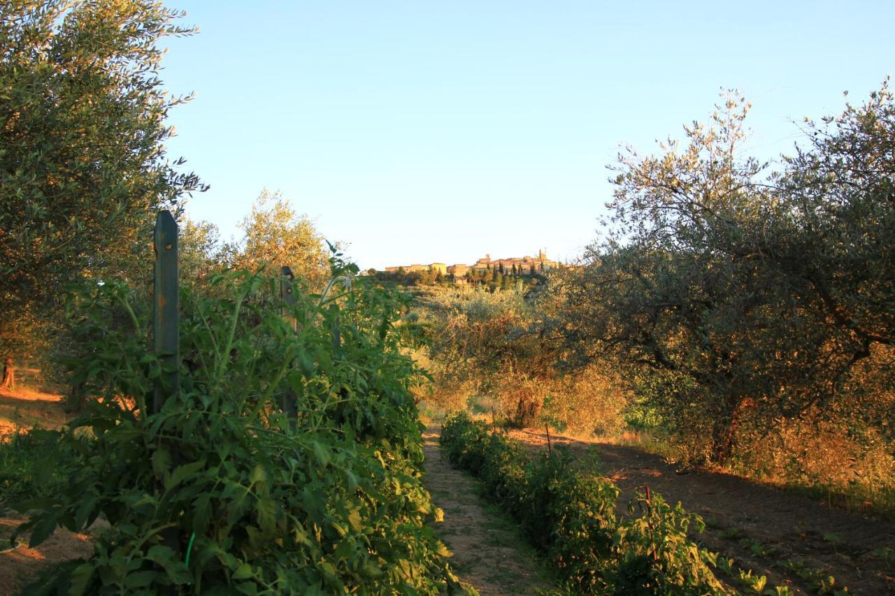 Casolare Marconi Apartment Panicale Luaran gambar